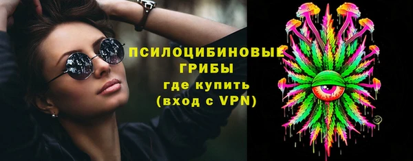 ПСИЛОЦИБИНОВЫЕ ГРИБЫ Богородск