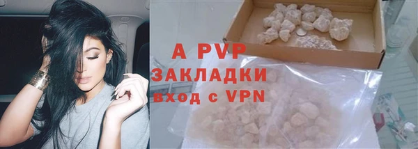 ПСИЛОЦИБИНОВЫЕ ГРИБЫ Беломорск