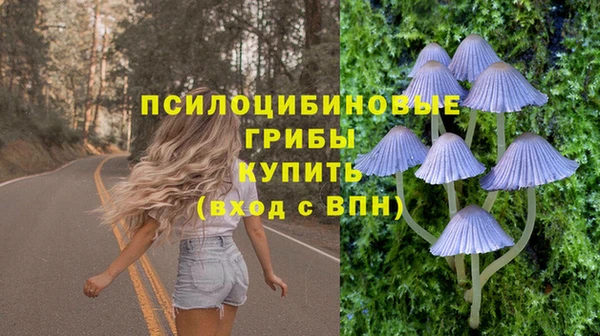 винт Богданович