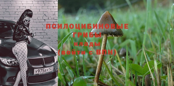 кокаин VHQ Белокуриха