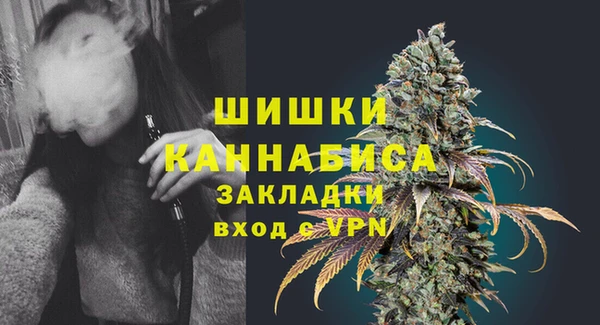 ПСИЛОЦИБИНОВЫЕ ГРИБЫ Богородск