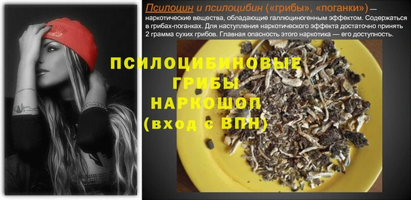 ПСИЛОЦИБИНОВЫЕ ГРИБЫ Беломорск