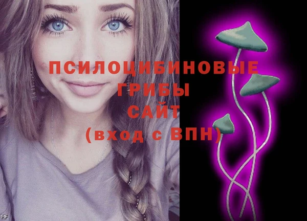 скорость Пестово