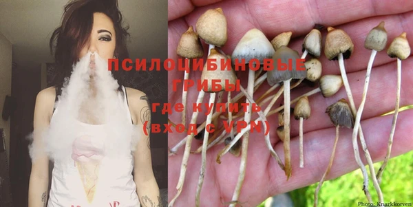 винт Богданович